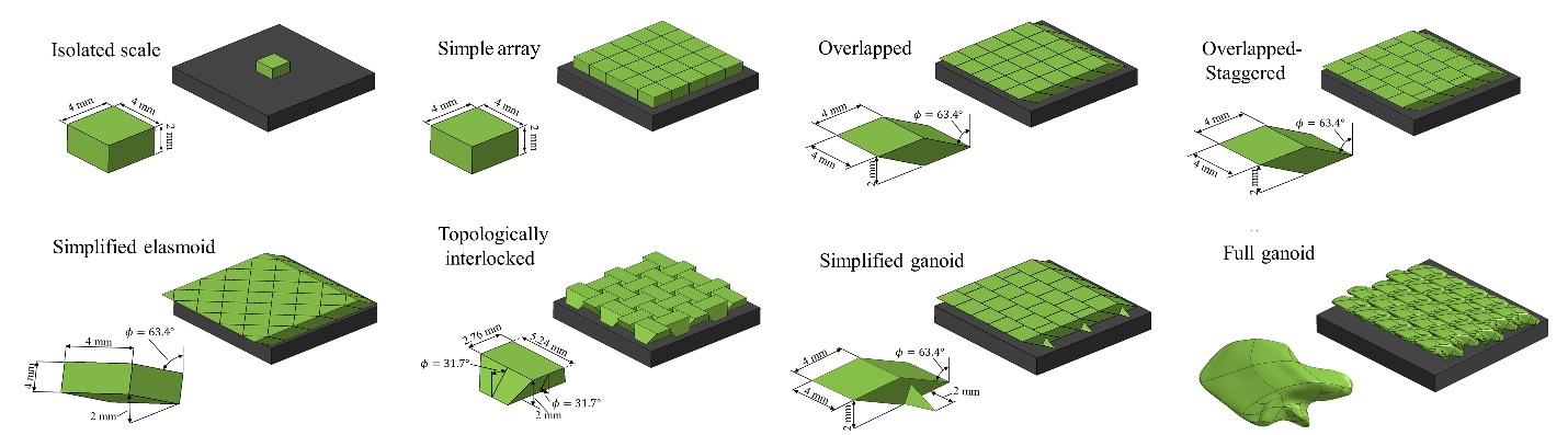 Schematics of the eight scaled skin designs considered in McGill University’s most recent study, ranked in order of increasing complexity. It’s impractical to model such arrays for puncture resistance and flexibility numerically, but 3D printing enabled accurate testing that can now be applied to real-world solutions for protective gear.