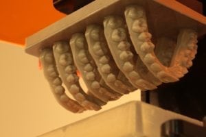 Dental Models on Platform